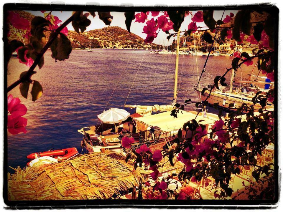 Trocolo Apartments Syvota Exterior foto